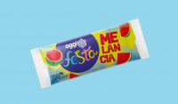 Picolé de Melância Base d´água Picolé de Melância Base d´água