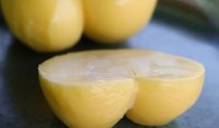 Queijo Scamorza Natural de Búfala Queijo Scamorza Natural de Búfala