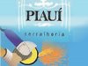 Piauí Serralheria Piauí Serralheria