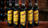 VINHO INDÓMITO  VINHO INDÓMITO