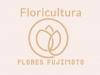 Flores Fujimoto Container Flores Fujimoto Container