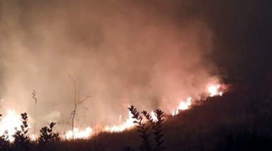 Taubaté registra mês de maio com 99 ocorrências de incêndio
