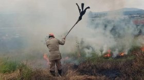Taubaté registra 104 ocorrências com fogo em vegetação no ano